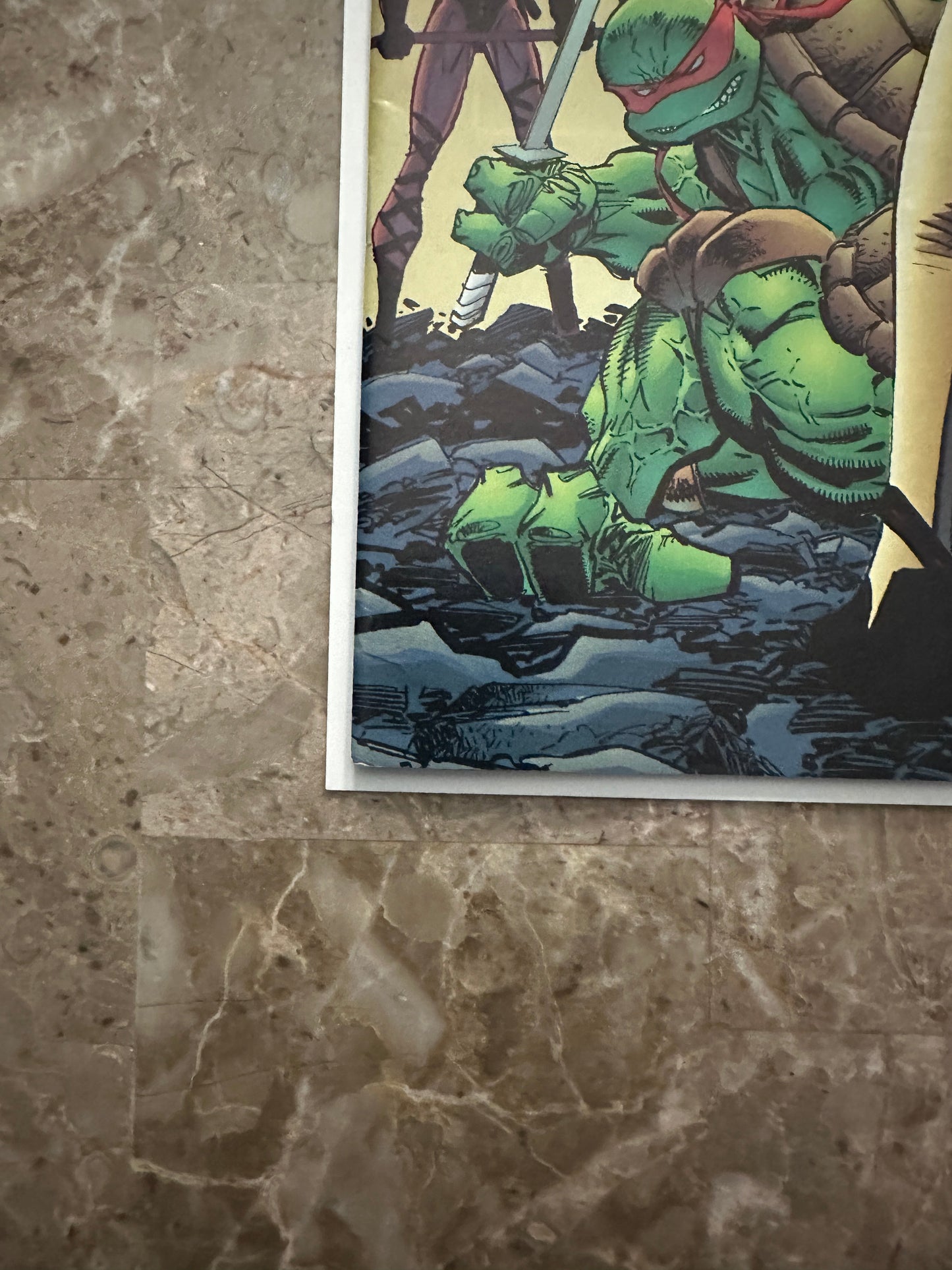 Teenage Mutant Ninja Turtles #2 FN+ 6.5 (1996 Image)