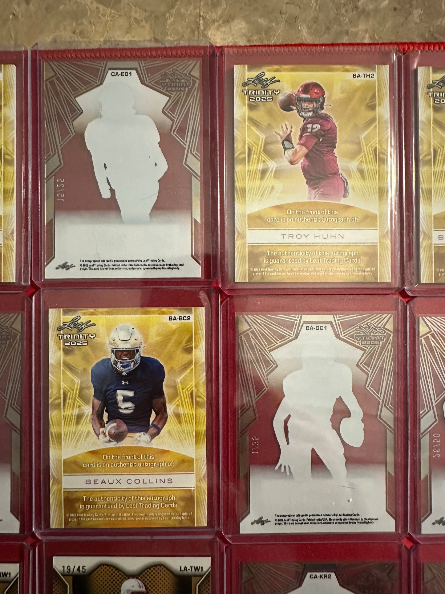 Huge Trinity Auto Lot 17x RC Autos 2025 Leaf Trinity SP