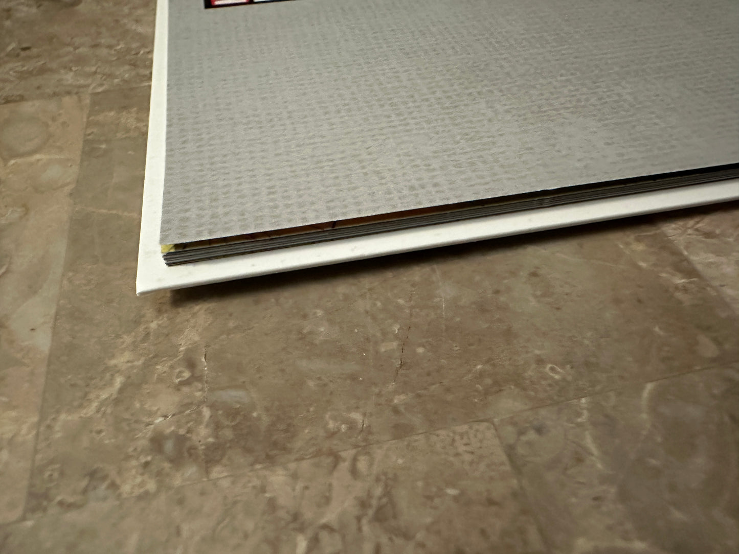 Spider-Woman #1 Limited 1:100 NM+ 9.6-9.8 (Marvel 2024) - Ejikure Virgin