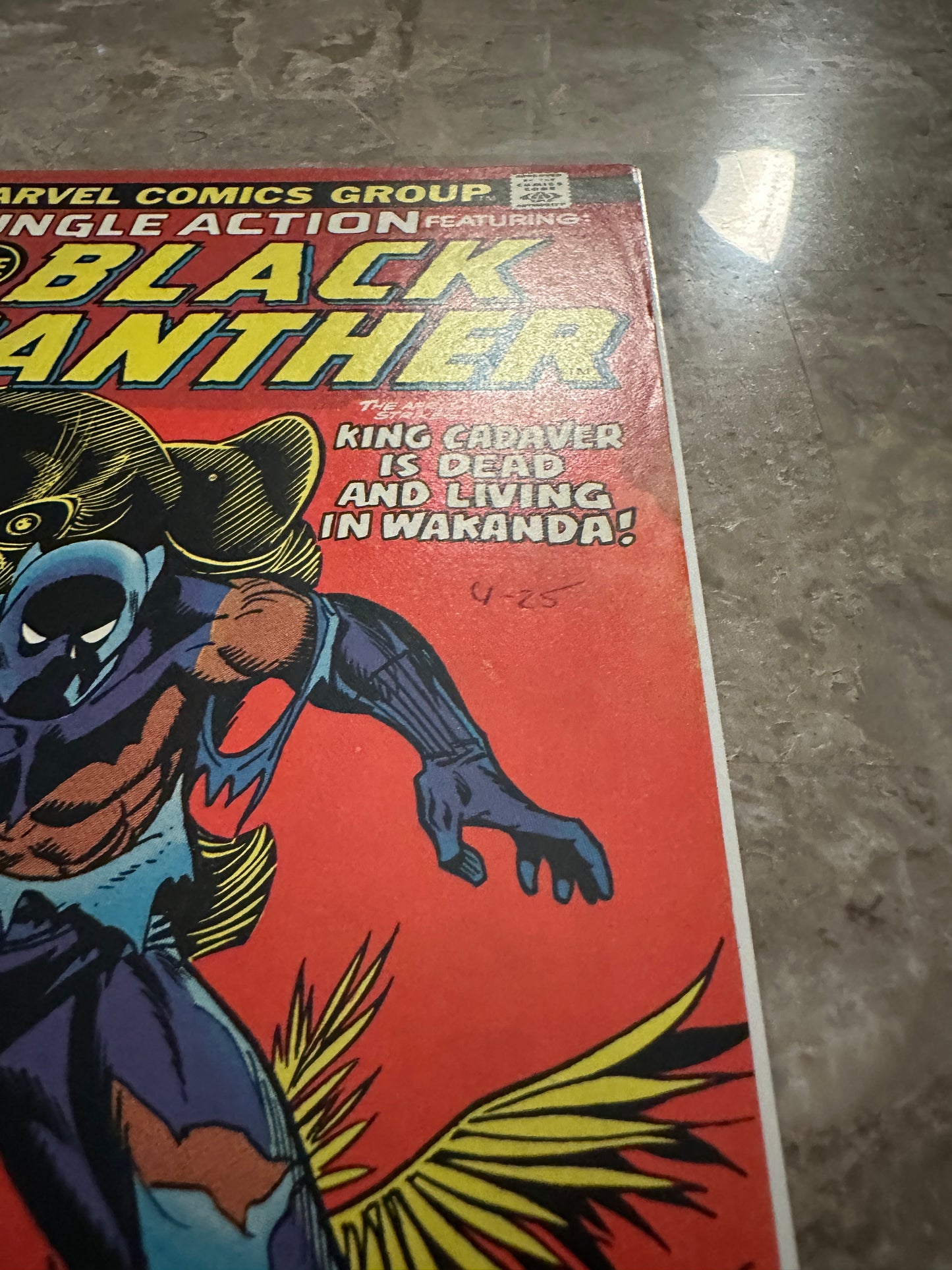 Jungle Action Black Panther #10 FN/VF 7.0 (1974 Marvel Comics)