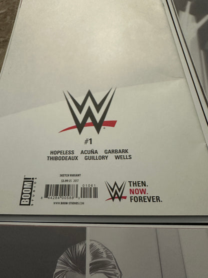 WWE #1-7,9-15,17-25 Near Full Run of 24 Higher Grade (Boom 2019)