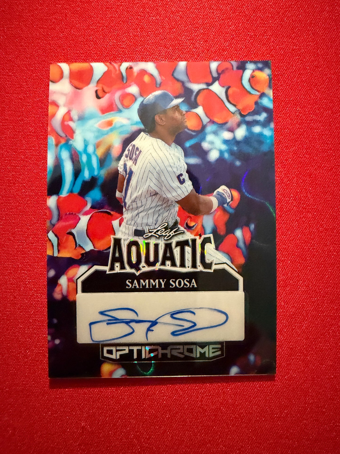 Sammy Sosa 2025 Leaf Optichrome Baseball Aquatic Auto Clownfish 1/1