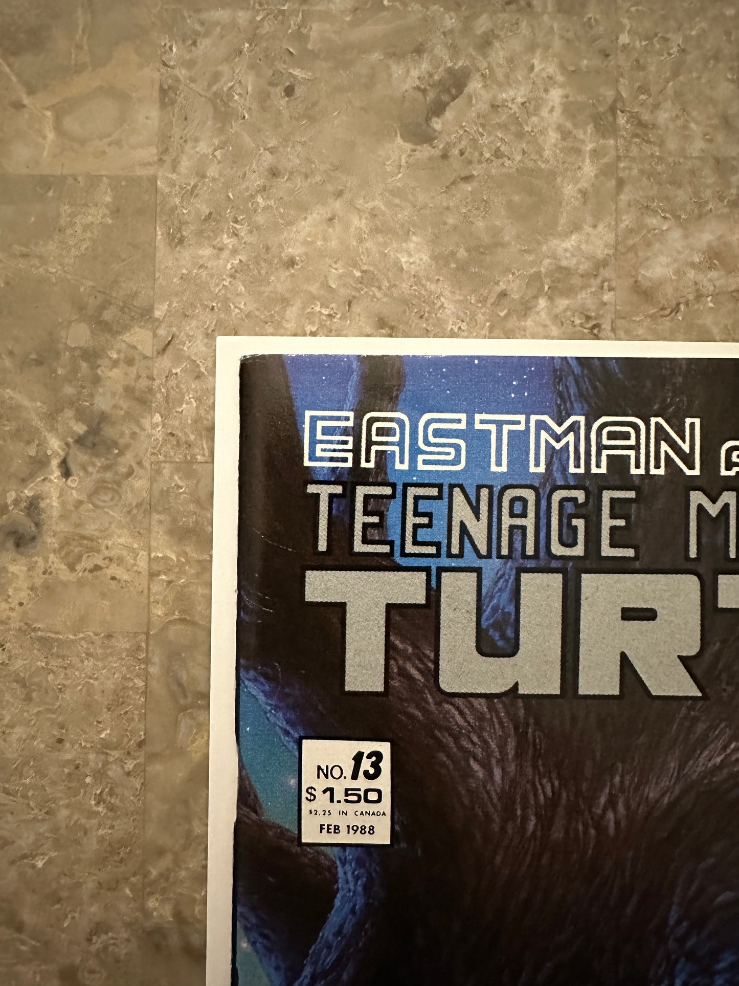 Teenage Mutant Ninja Turtles #13 VF 8.0-8.5 (1988 Mirage)
