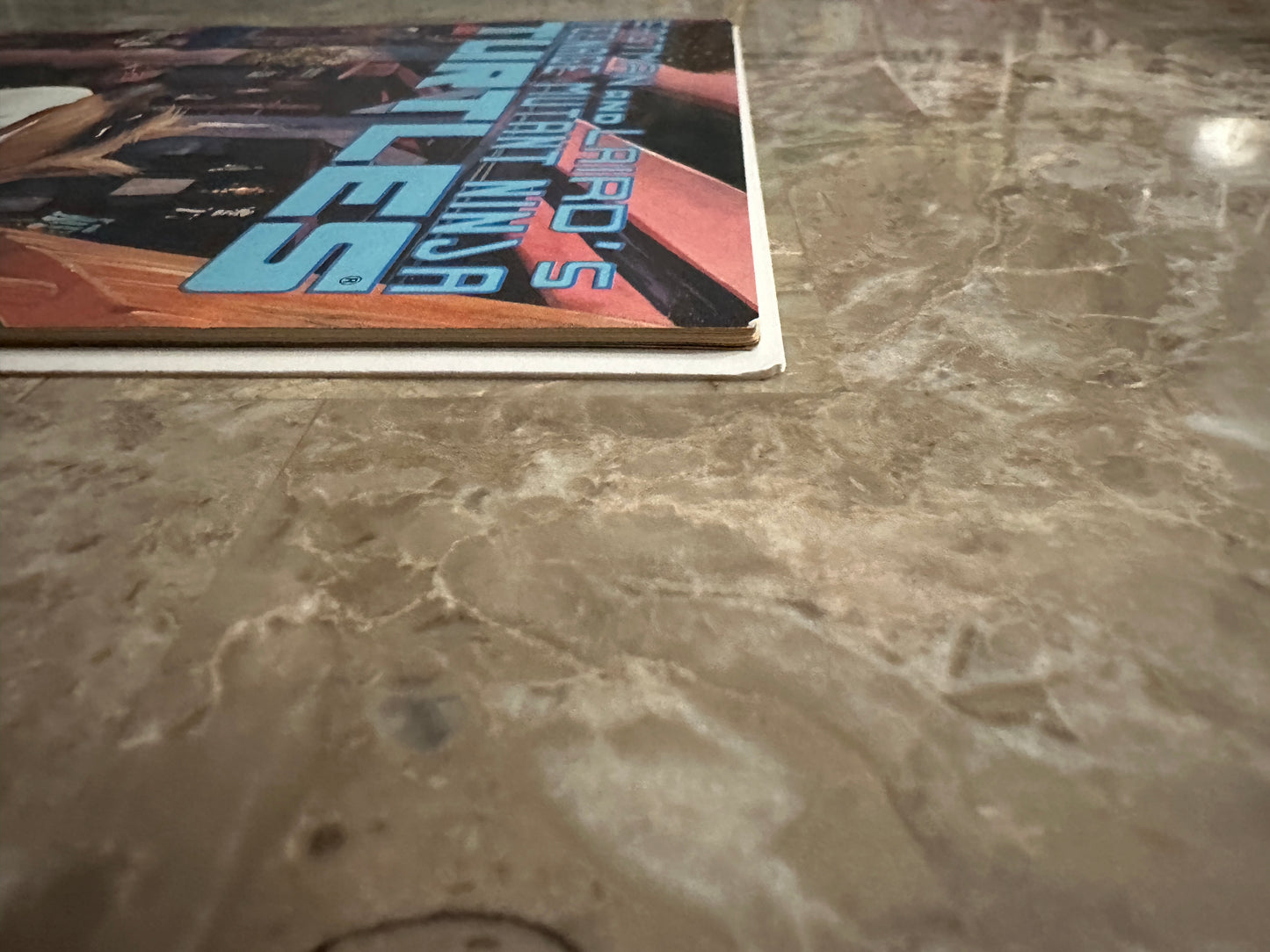 Teenage Mutant Ninja Turtles #23 FN 6.0 (1989 Mirage Studios)