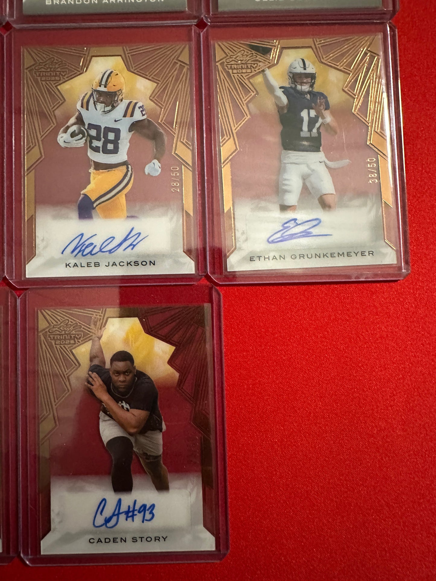 Huge Trinity Auto Lot 17x RC Autos 2025 Leaf Trinity SP