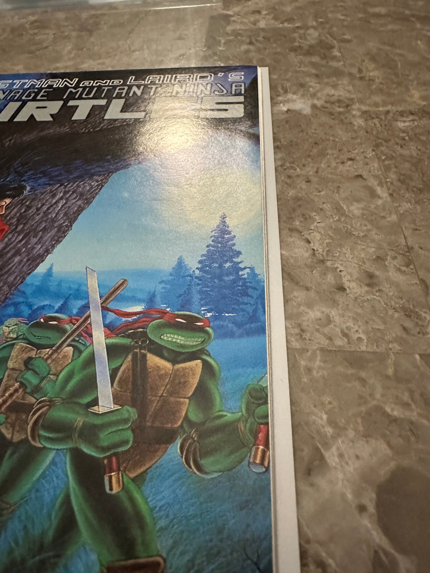 Teenage Mutant Ninja Turtles #13 VF 8.0-8.5 (1988 Mirage)