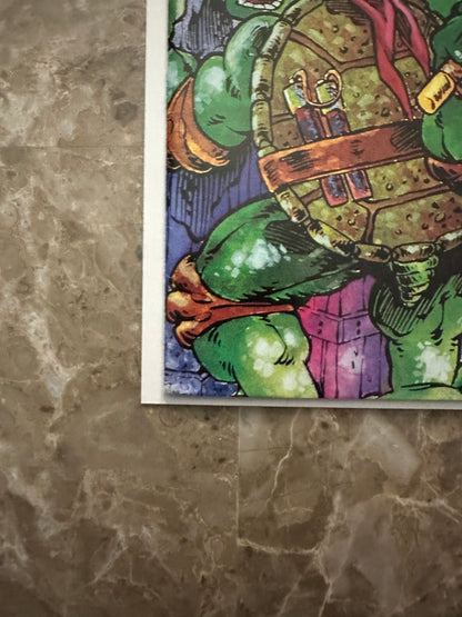 Tales of the Teenage Mutant Ninja Turtles #1 VF+ 8.5 (1987 Mirage Studios)