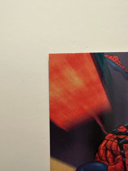 Spider-Man #11 (1995 Fleer DC vs. Marvel) - High grade