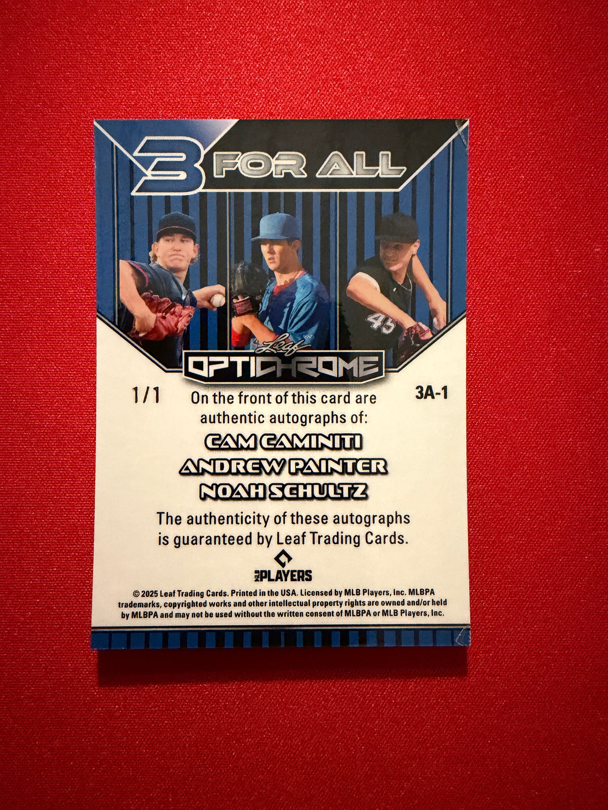 Painter Caminiti Schultz 2025 Leaf Optichrome 3 For All Auto Silver 1/1