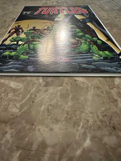 Teenage Mutant Ninja Turtles #2 VF/NM 9.0 (1996 Image Comics)