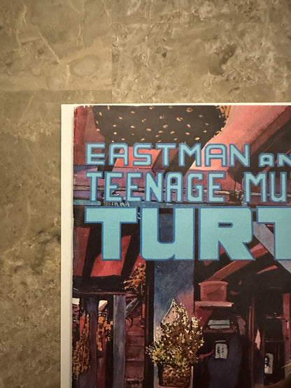 Teenage Mutant Ninja Turtles #23 FN 6.0 (1989 Mirage Studios)