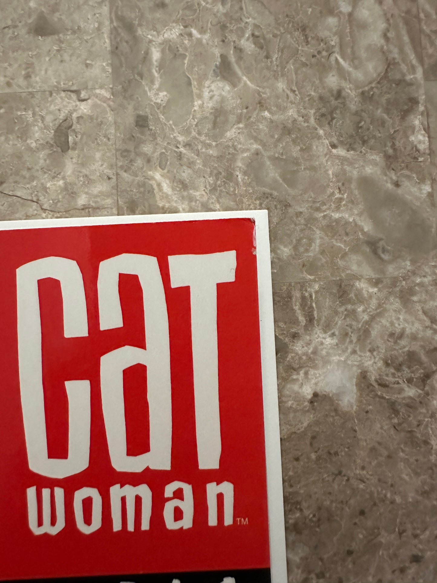 Catwoman: The Replacements & It's Only A Movie TPBs (DC 2007) - 3rd Series 53-65