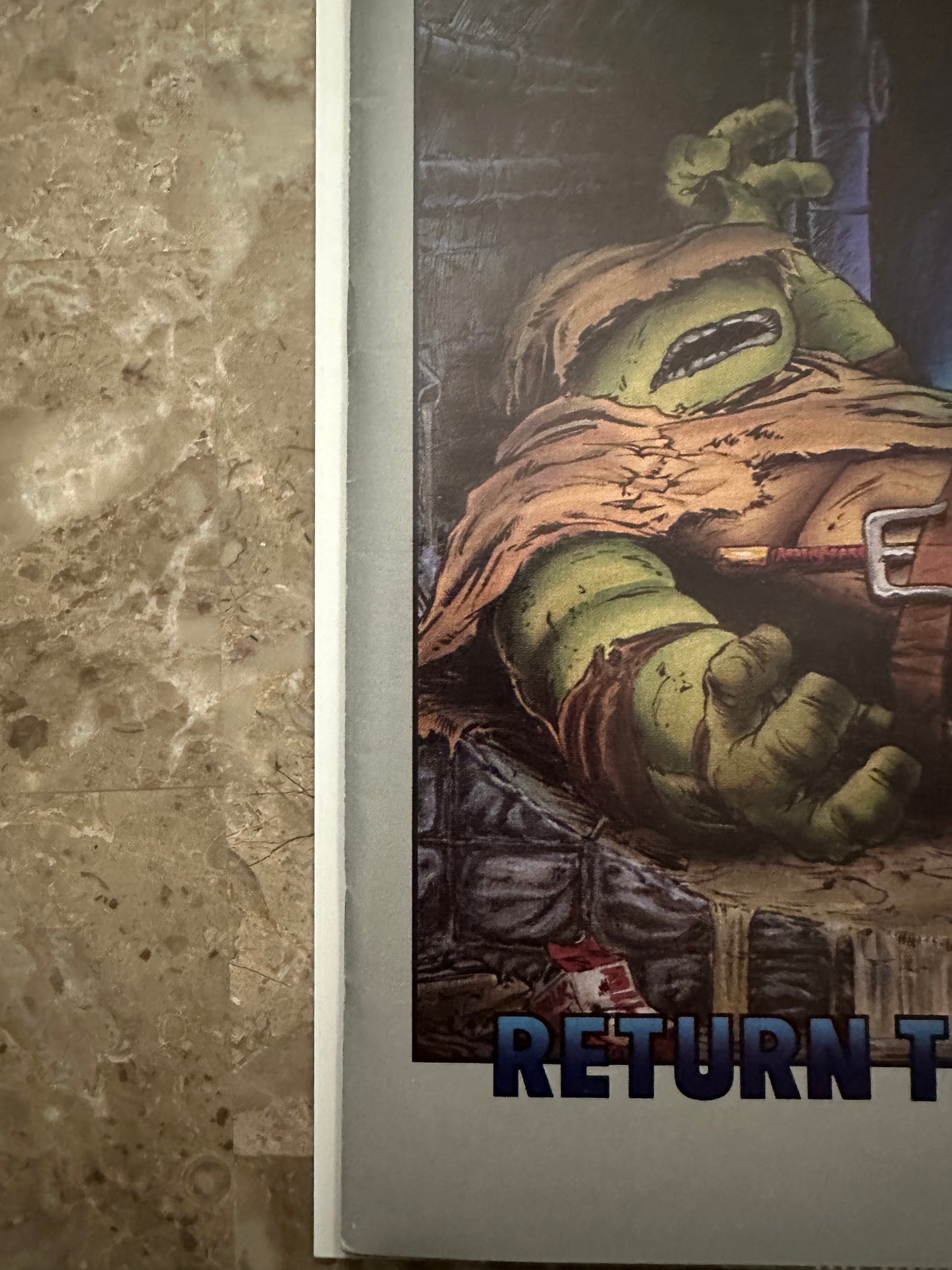 Teenage Mutant Ninja Turtles #19 VF 8.0-8.5 (1989 Mirage Studios)