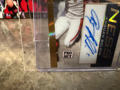 Anquan Boldin 2026 Leaf Pro Set Metal Football Pure Greatness Auto Gold 1/1