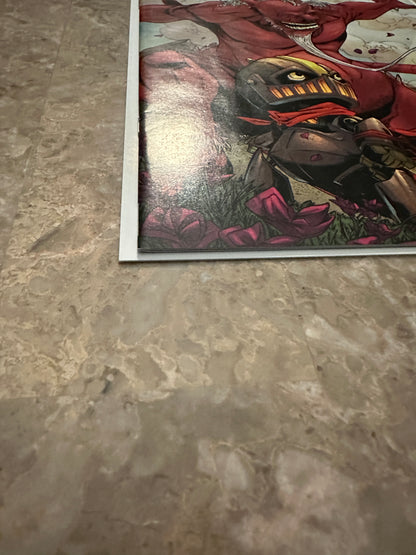 Canto III Lionhearted #1-3 (IDW 2021)