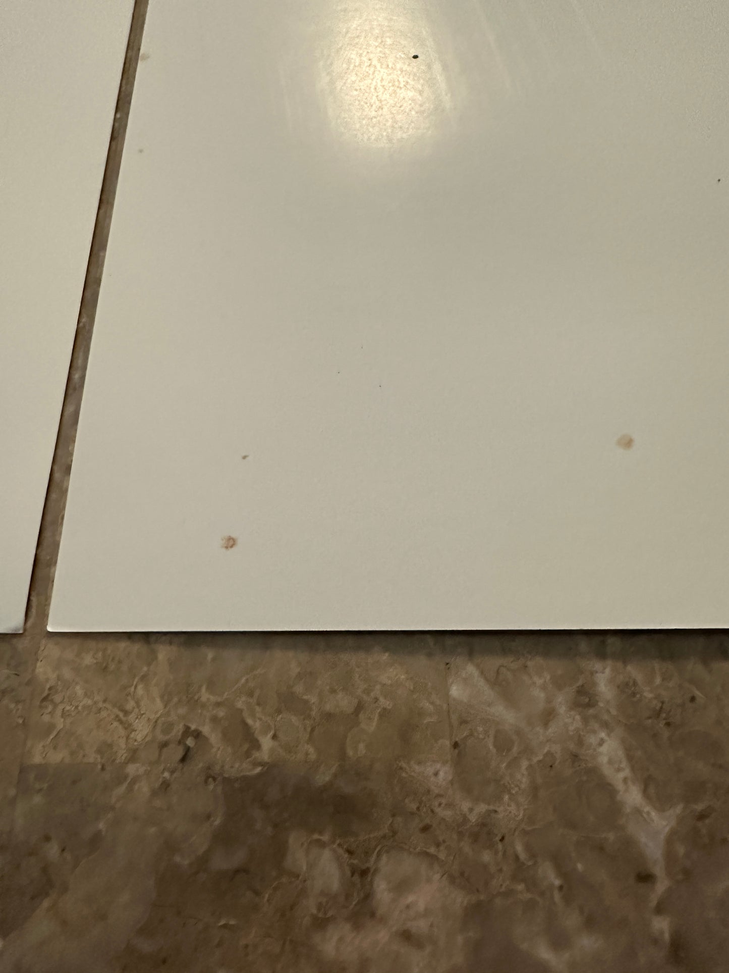 Spider-Gwen/Miles Morales Custom Art Prints - Denzell Draws