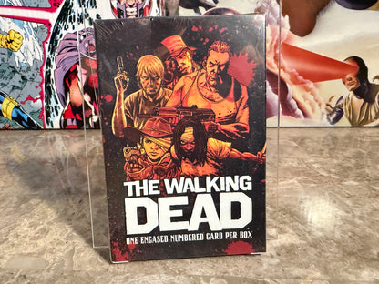 2026 Keepsake The Walking Dead SDCC Exclusive Mystery Box Rick Michonne Skybound