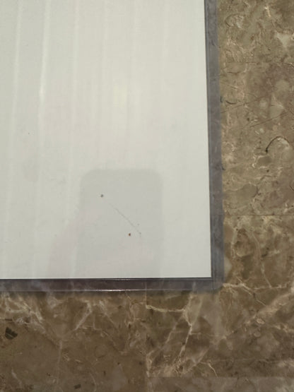 The Phoenix Limited Print 11" x 17" Signed by Natali Sanders w/ KRS Comics COA