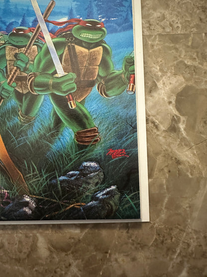 Teenage Mutant Ninja Turtles #13 VF 8.0-8.5 (1988 Mirage)