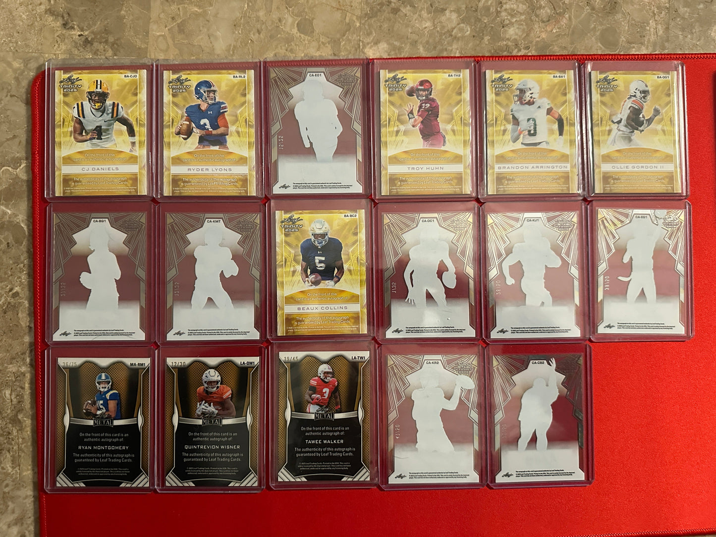 Huge Trinity Auto Lot 17x RC Autos 2025 Leaf Trinity SP