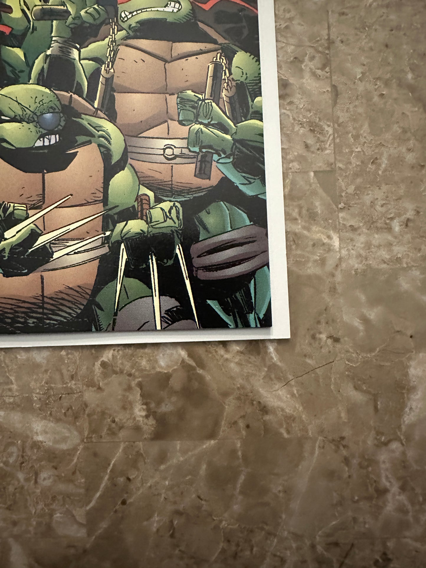 Teenage Mutant Ninja Turtles #10 VF 8.0 (1996 Image Comics)