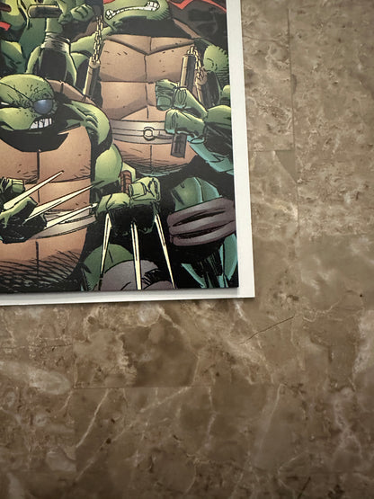 Teenage Mutant Ninja Turtles #10 VF 8.0 (1996 Image Comics)
