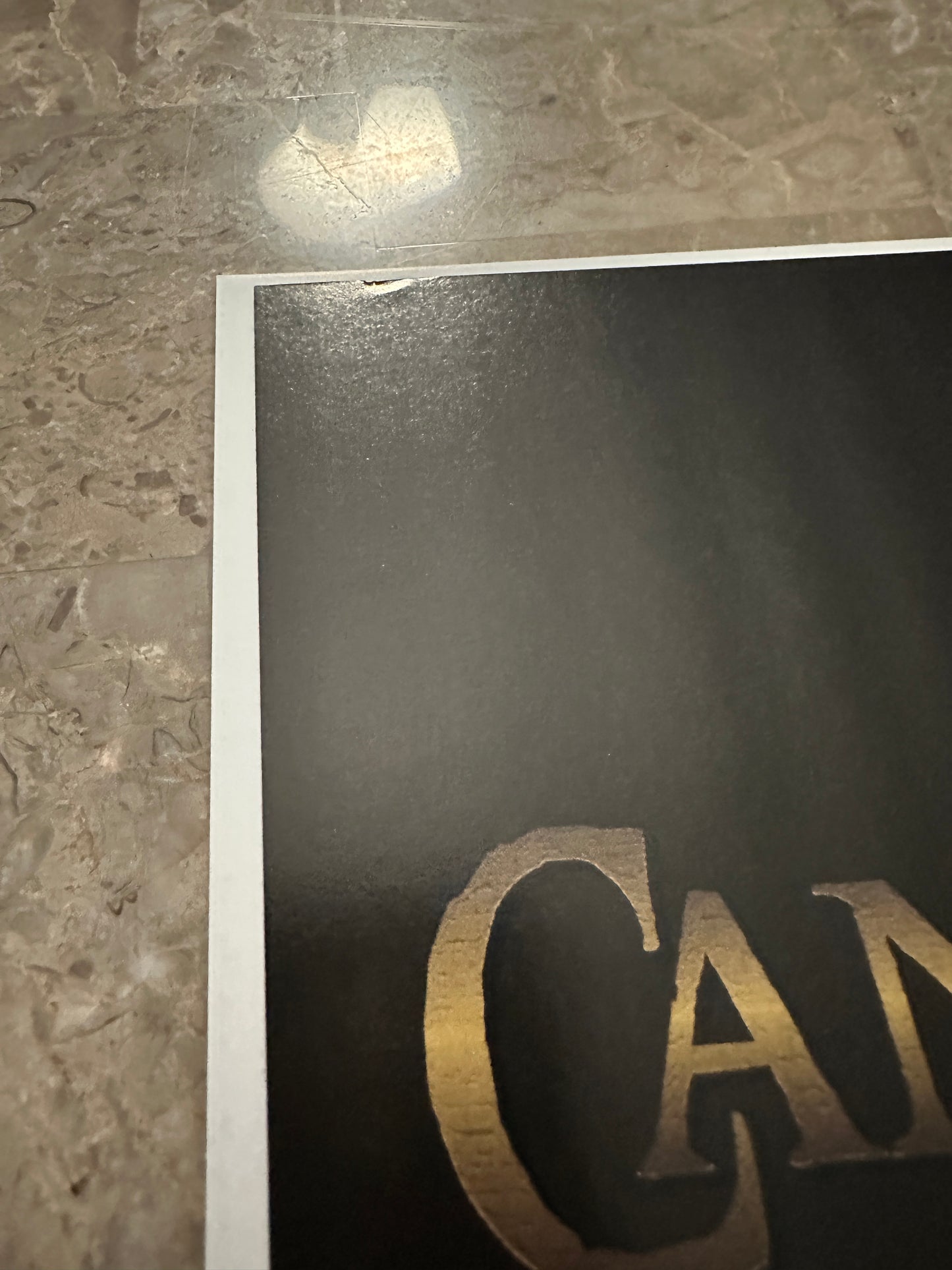 Canto III Lionhearted #1-3 (IDW 2021)
