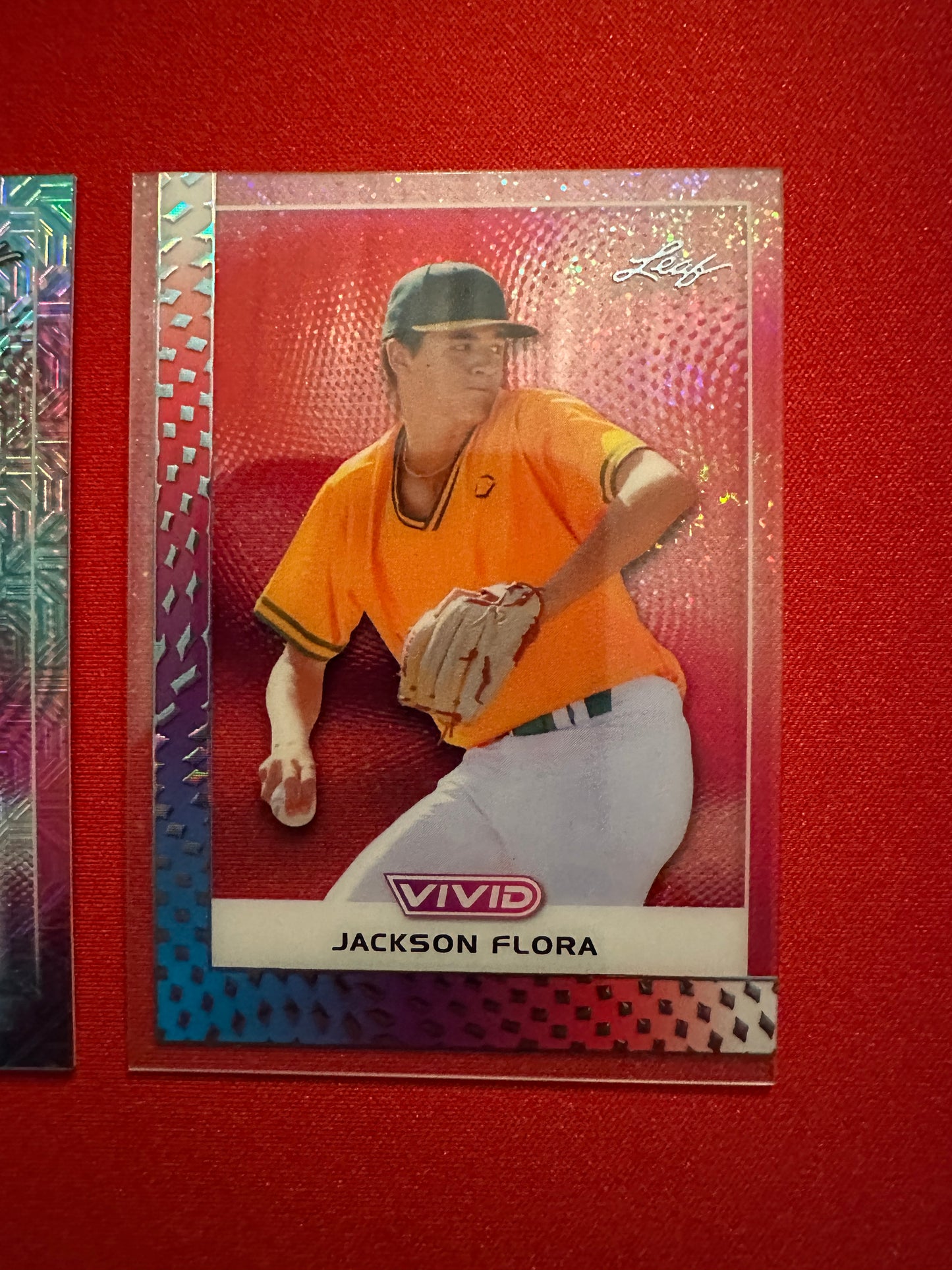 2026 Leaf Vivid Jackson Flora LOT Auto /35 Techno + 1/1 Clear Acetate UCSB