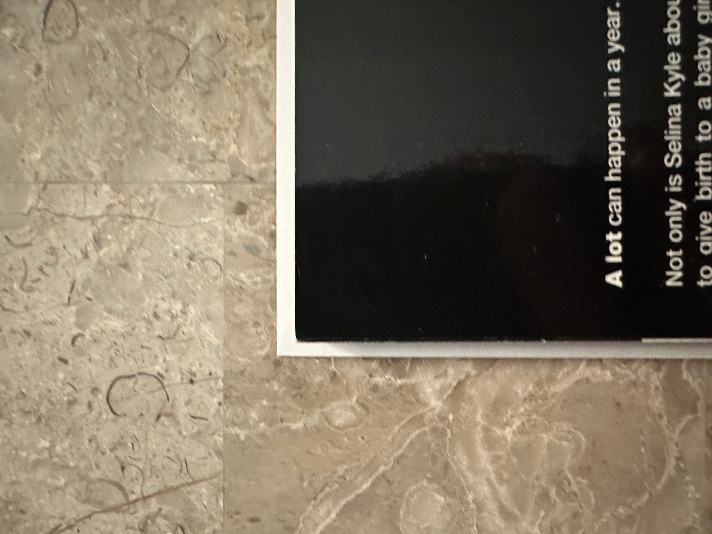 Catwoman: The Replacements & It's Only A Movie TPBs (DC 2007) - 3rd Series 53-65