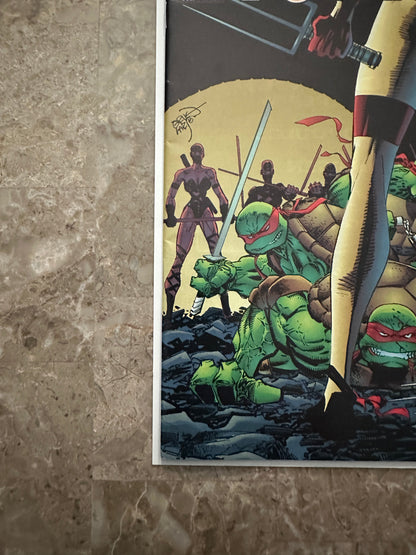 Teenage Mutant Ninja Turtles #2 FN+ 6.5 (1996 Image)