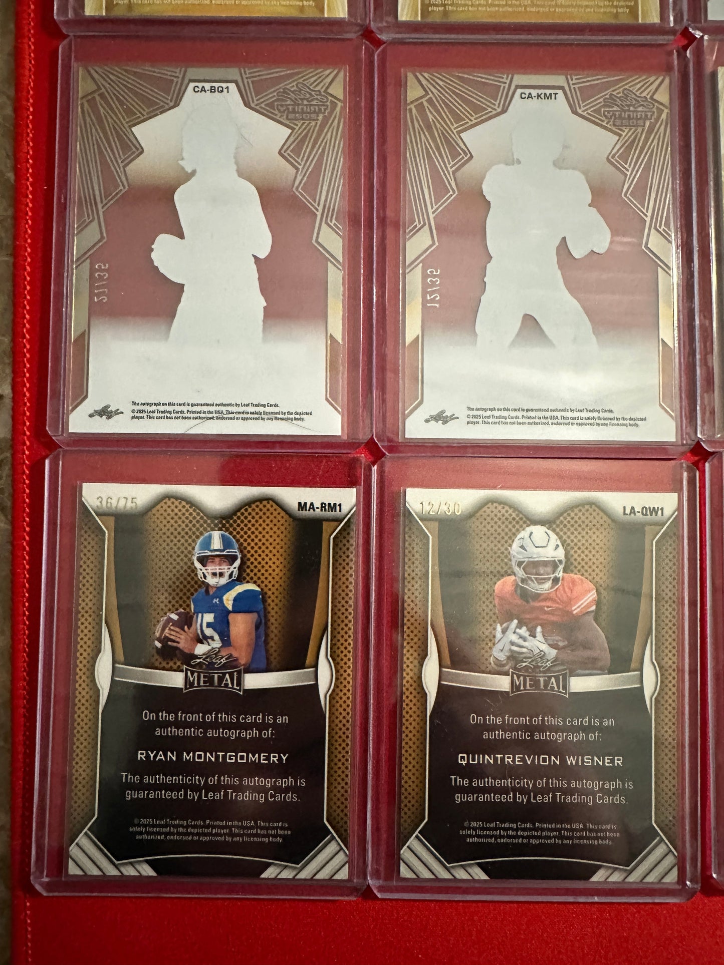 Huge Trinity Auto Lot 17x RC Autos 2025 Leaf Trinity SP