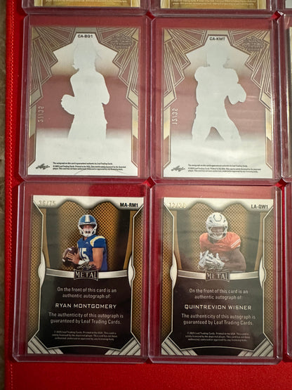 Huge Trinity Auto Lot 17x RC Autos 2025 Leaf Trinity SP