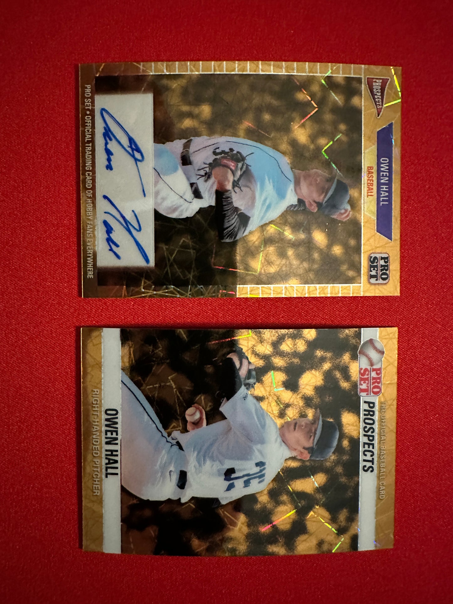 Owen Hall 2026 Leaf Pro Set 1/1 Dual Masterpiece Prospect Lot