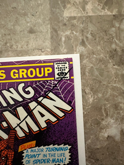 Amazing Spider-Man #243 VF 8.0 (1983 Marvel)