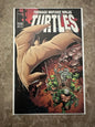 Teenage Mutant Ninja Turtles #5 VF/NM 9.0 (1996 Image)
