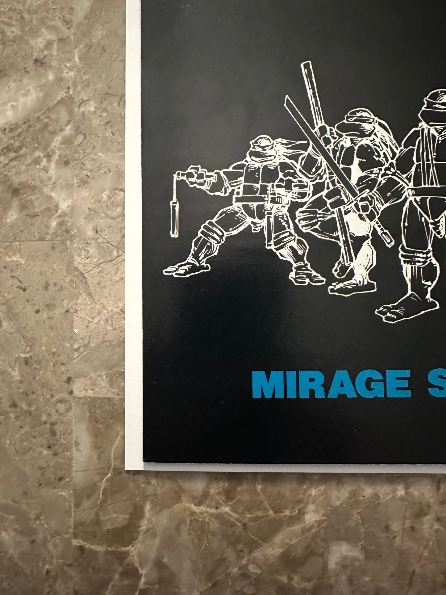 Teenage Mutant Ninja Turtles #13 VF 8.0-8.5 (1988 Mirage)