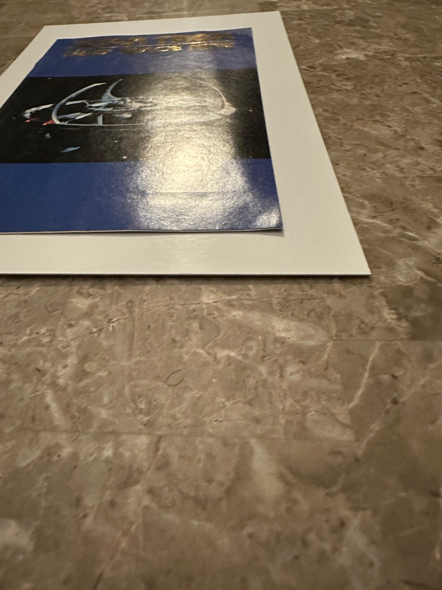 Star Trek Deep Space Nine Ashcan Limited Gold #1 (1993 Malibu)