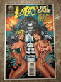 Lobo's Big Babe Spring Break Special VF/NM 9.0 (1995 DC)