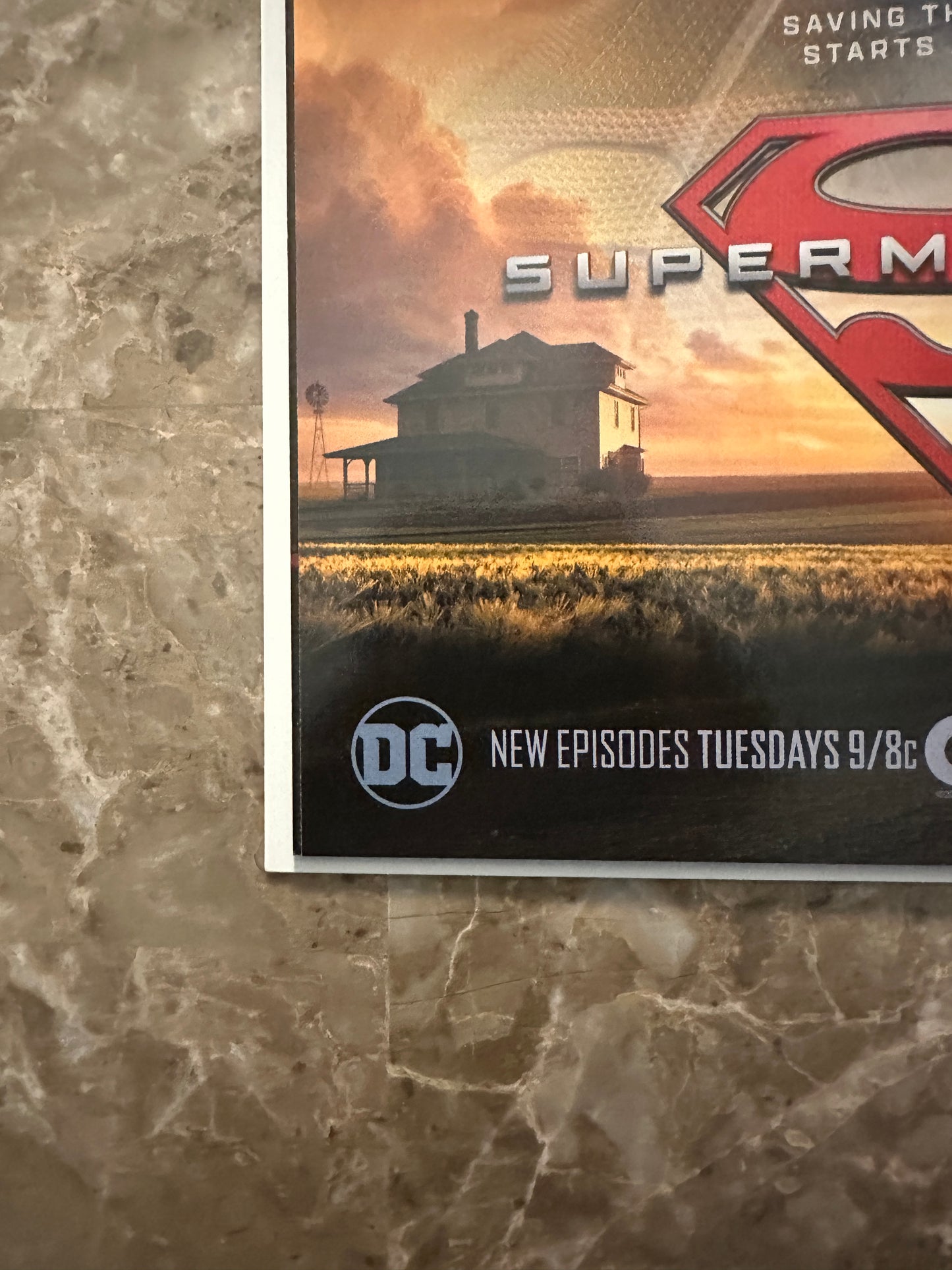 Harley Quinn #1 NM+ 9.6-9.8 Variant Cover B (DC 2021)