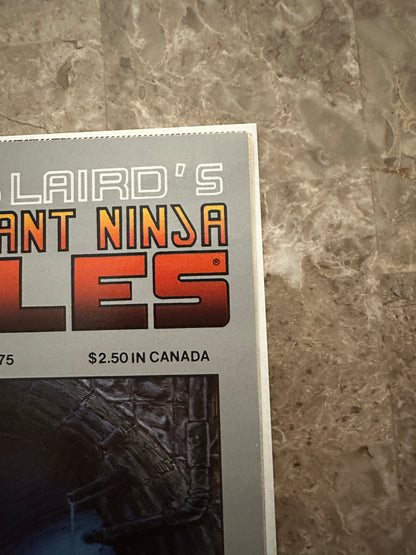 Teenage Mutant Ninja Turtles #19 VF 8.0-8.5 (1989 Mirage Studios)