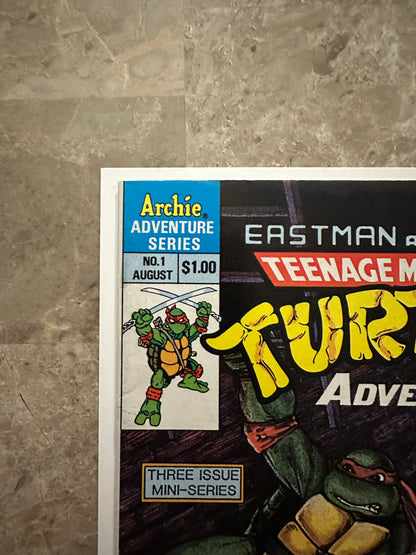 Teenage Mutant Ninja Turtles Adventures #1 Newsstand FN/VF 7.0 (1988 Mirage) - Gorgeous Copy for grade