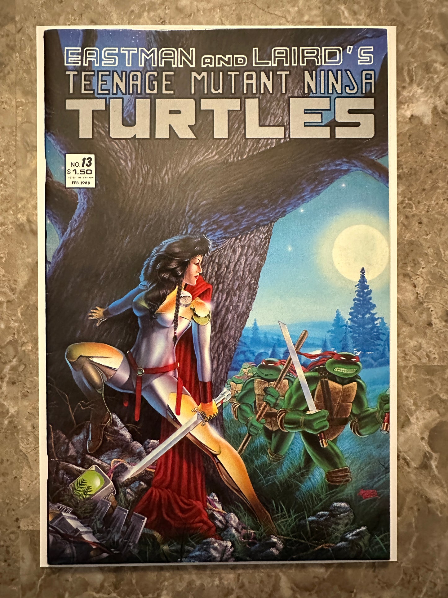 Teenage Mutant Ninja Turtles #13 VF 8.0-8.5 (1988 Mirage)