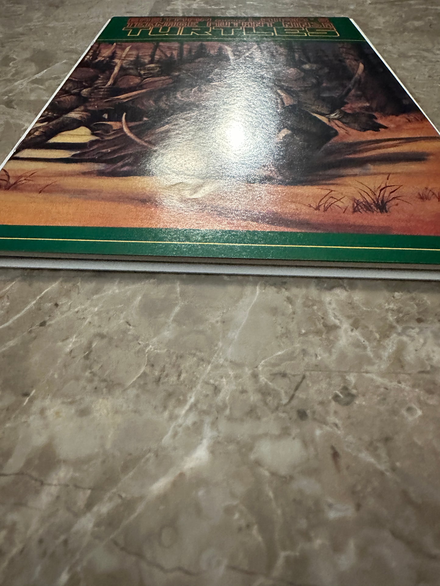 Teenage Mutant Ninja Turtles #31 VF/NM 9.0 (1990 Mirage Studios)
