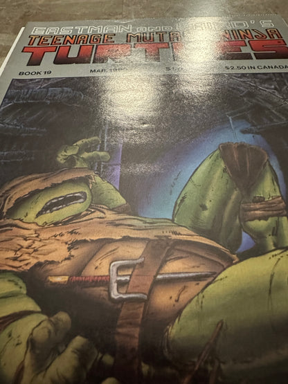 Teenage Mutant Ninja Turtles #19 FN+ 6.5 (1989 Mirage Studios)