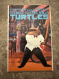 Teenage Mutant Ninja Turtles #23 FN 6.0 (1989 Mirage Studios)