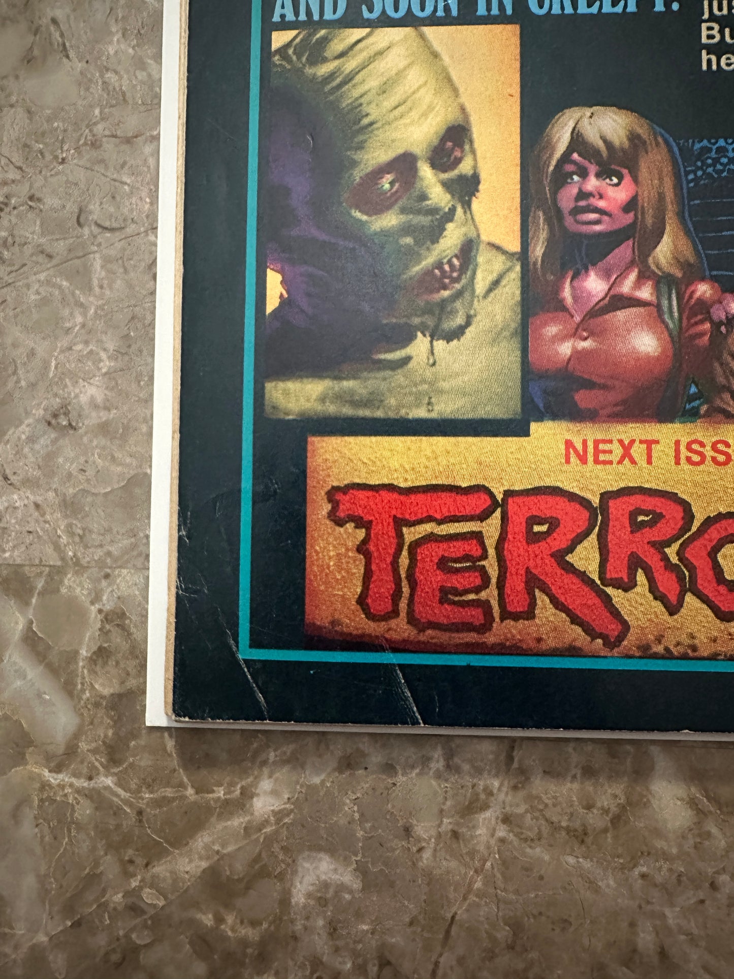 Vampirella #29 FN- 5.5 (1973 Warren Publishing) - Nice copy for grade