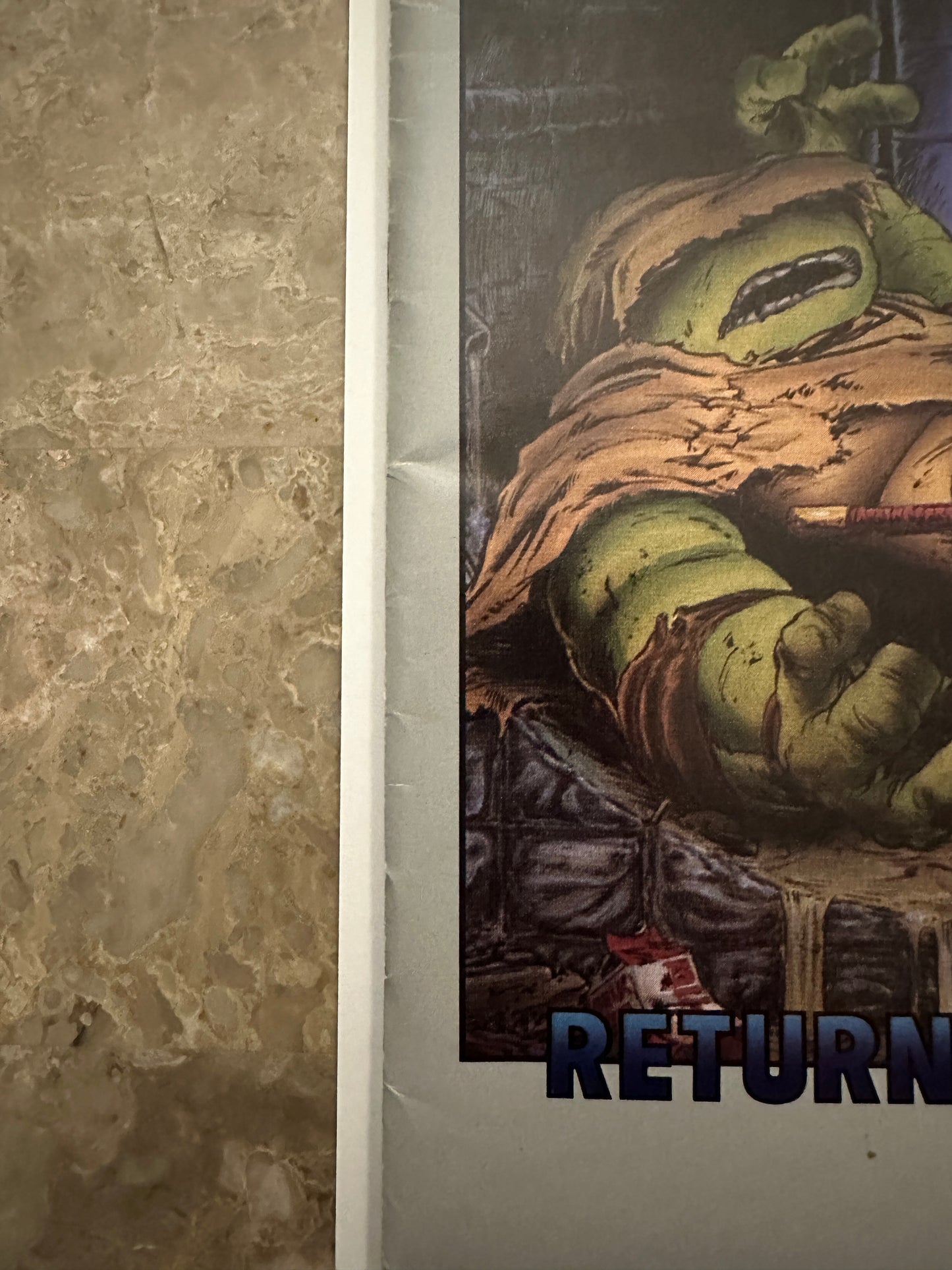 Teenage Mutant Ninja Turtles #19 FN+ 6.5 (1989 Mirage Studios)