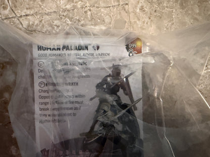 D&D HeroClix: Series One Limited Edition Human Paladin + Cards & Map OP Kit