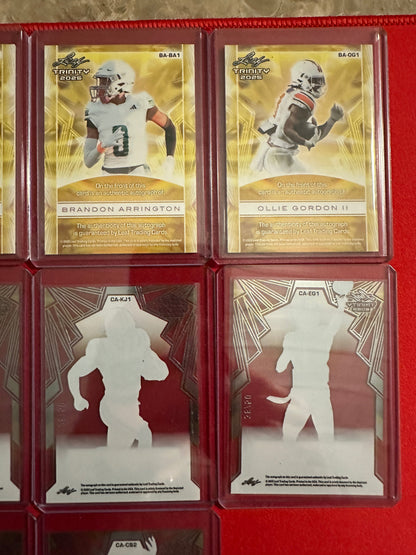 Huge Trinity Auto Lot 17x RC Autos 2025 Leaf Trinity SP