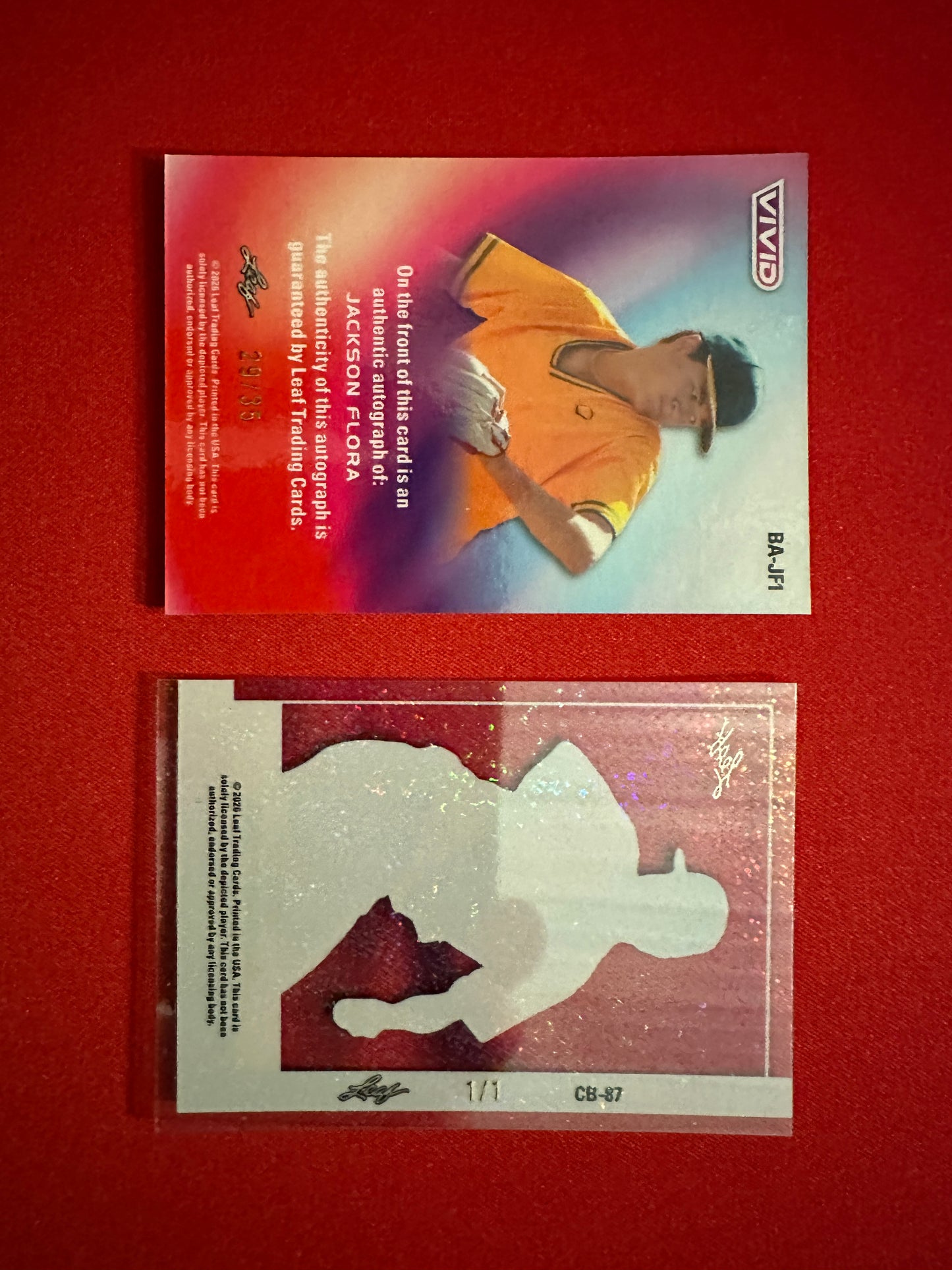 2026 Leaf Vivid Jackson Flora LOT Auto /35 Techno + 1/1 Clear Acetate UCSB